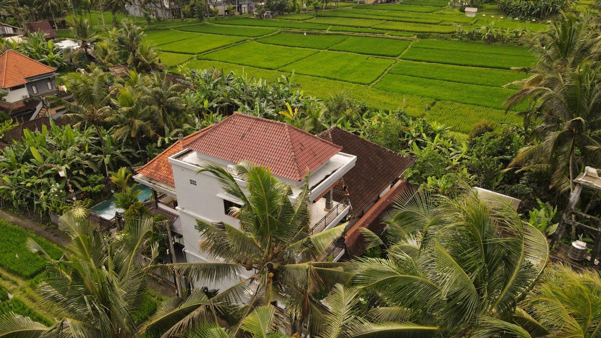 Nirwa 1 Ubud Guesthouse Buitenkant foto