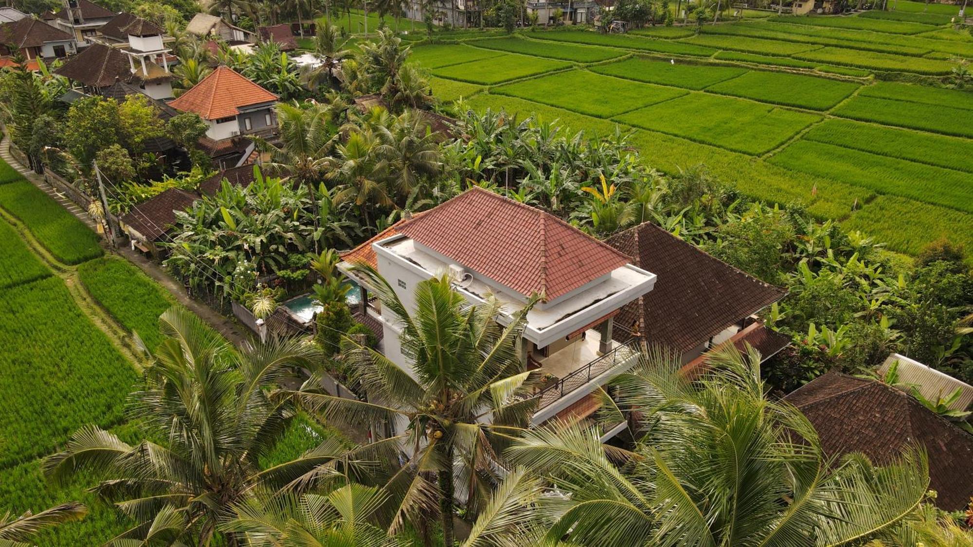 Nirwa 1 Ubud Guesthouse Buitenkant foto